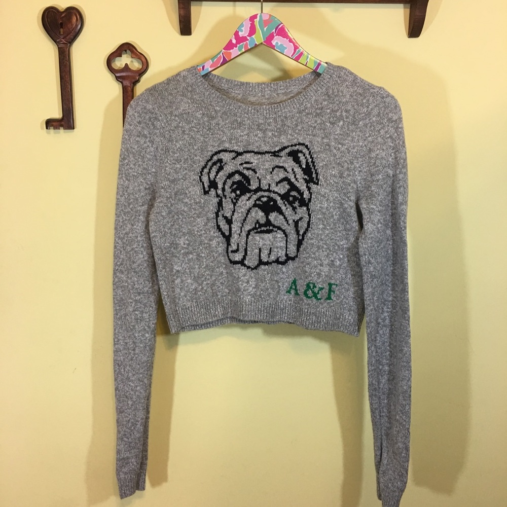 Crop Top Bulldog Sweater